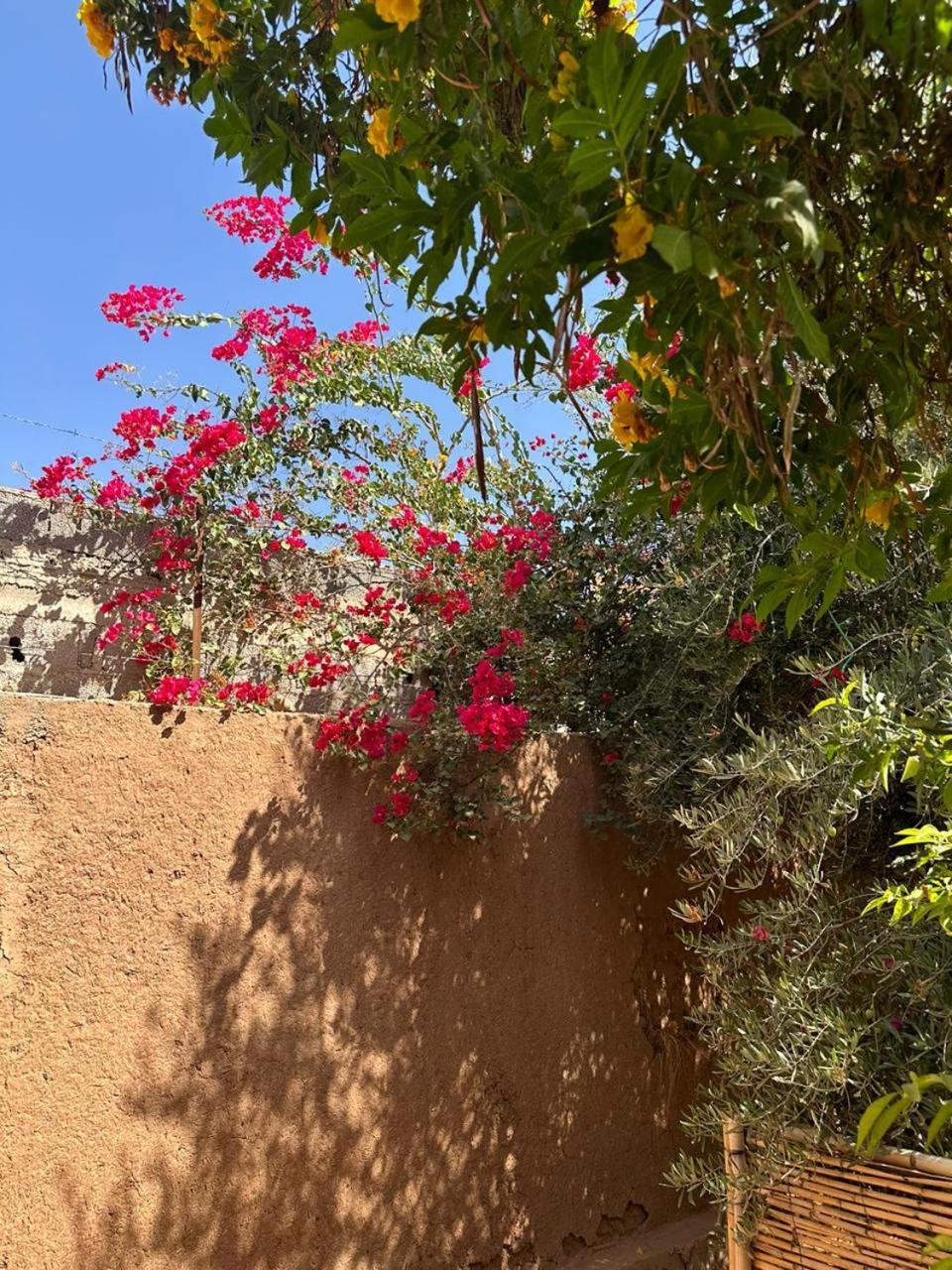 Villa Ms Holidays Mika Privatisee Marrakech Marrakesh Exterior foto
